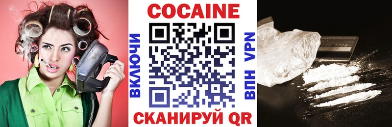COCAIN Fish Scale  купить закладку  Спасск 