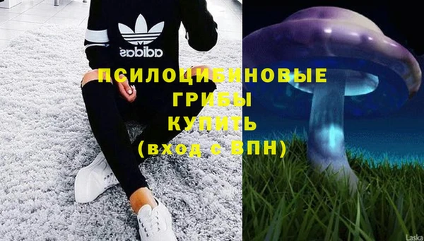 эйфоретик Аркадак