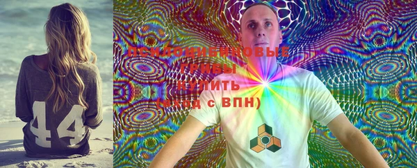 эйфоретик Аркадак